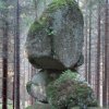 Novohradské hory, okolí nádrže Kapelung